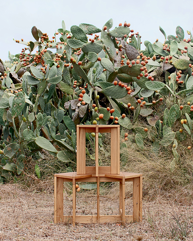 Berber stools standing one on each other in front of the cactus tree